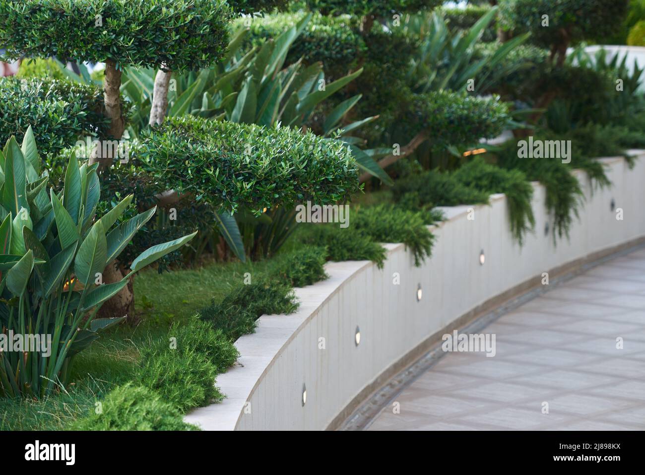 Gardening with ornamental shrubs for landscape design Stock Photo