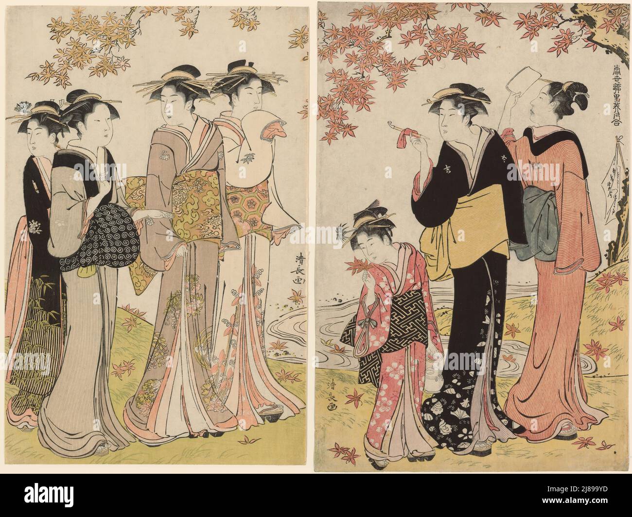 Japan: 'Series of Beauties'. 