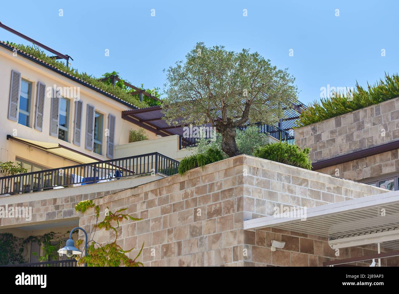 Roof garden with tree on a residential building Stock Photo