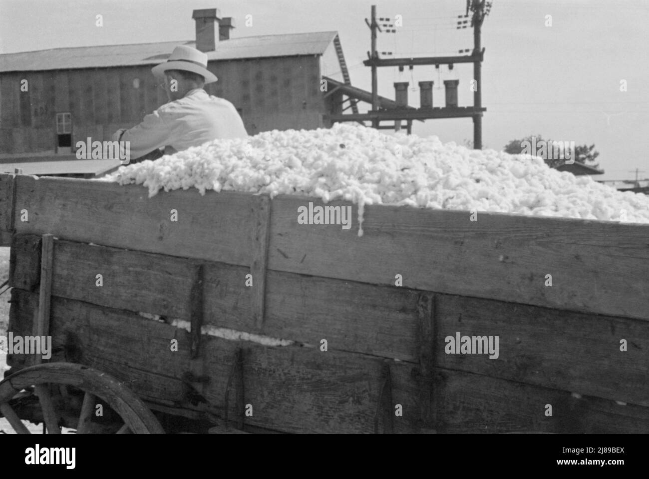 At the cotton gin. Cotton gin and wagons. Hale County, Alabama Stock