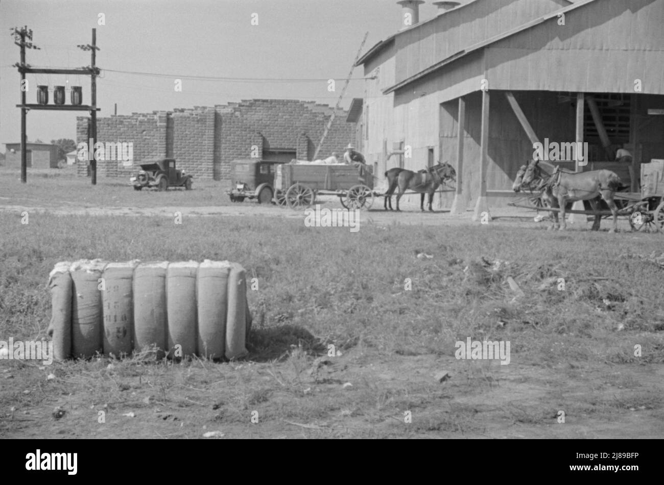 At the cotton gin. Cotton gin and wagons. Hale County, Alabama Stock