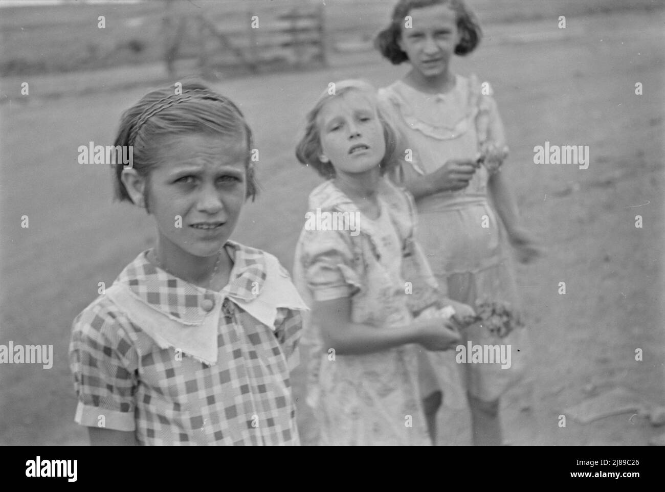 Independence Day, Terra Alta, West Virginia Stock Photo Alamy