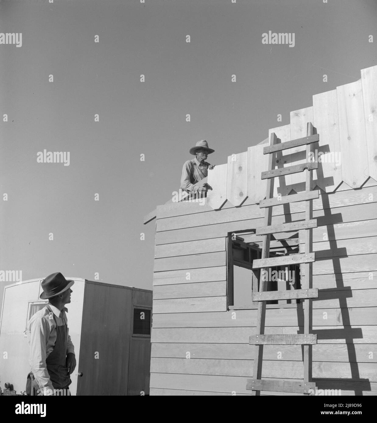 Father and son, recent migrants to California, building house in rapidly growing settlement of lettuce workers on fringe of town. Salinas, California. Stock Photo