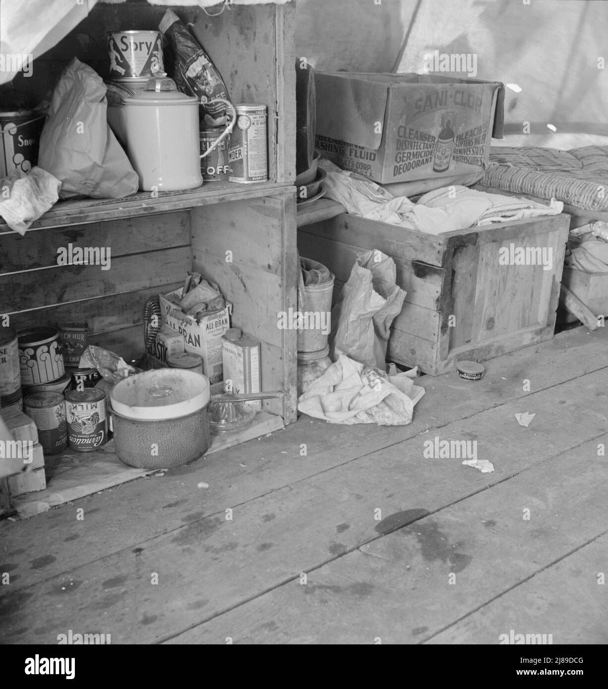 Tent interior in a pea pickers' camp. Food supply and household equipment. Santa Clara County, California. Stock Photo