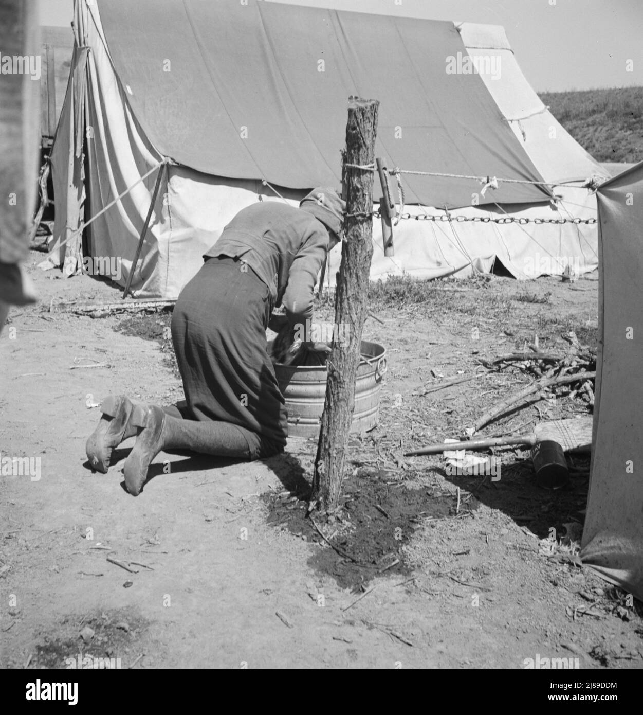 A grandmother washing clothes in California. In a contractor's camp near Westley, California. Stock Photo