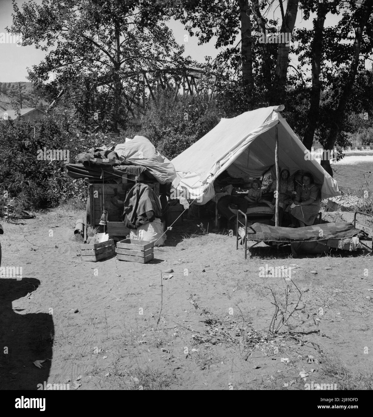 Camp of migratory family originally from Texas in &quot;Ramblers Park.&quot; Yakima Valley, Washington. Stock Photo