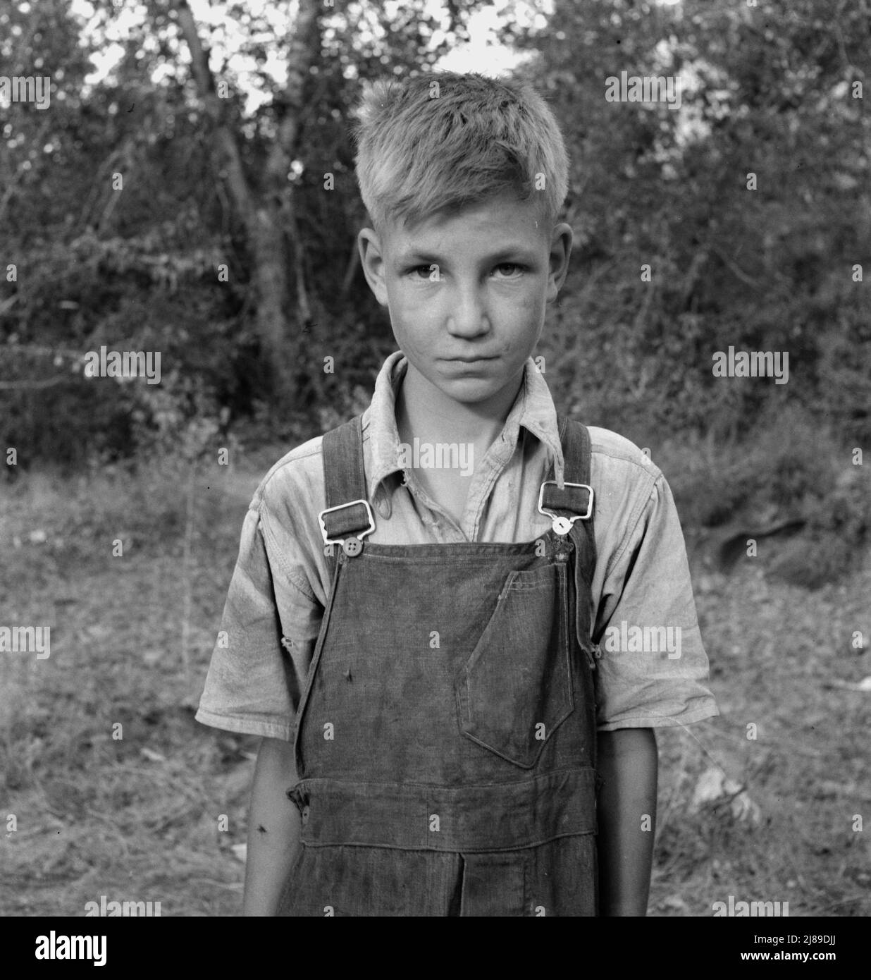 Migratory boy in squatter camp. Has come to Yakima Valley for the third year to pick hops. Mother: &quot;You'd be surprised what that boy can pick.&quot; Washington, Yakima Valley. Stock Photo