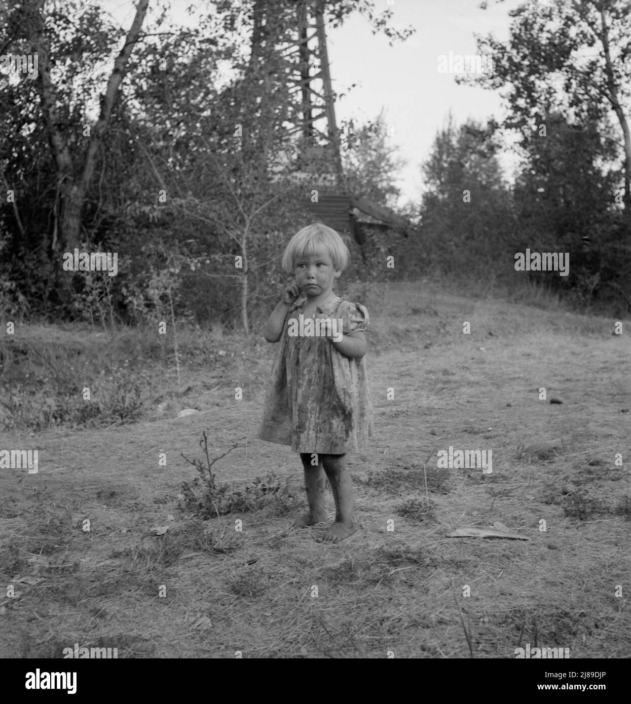 Migratory child in squatter camp before hop season opens. Her little brothers work in the field. Washington, Yakima Valley. Stock Photo