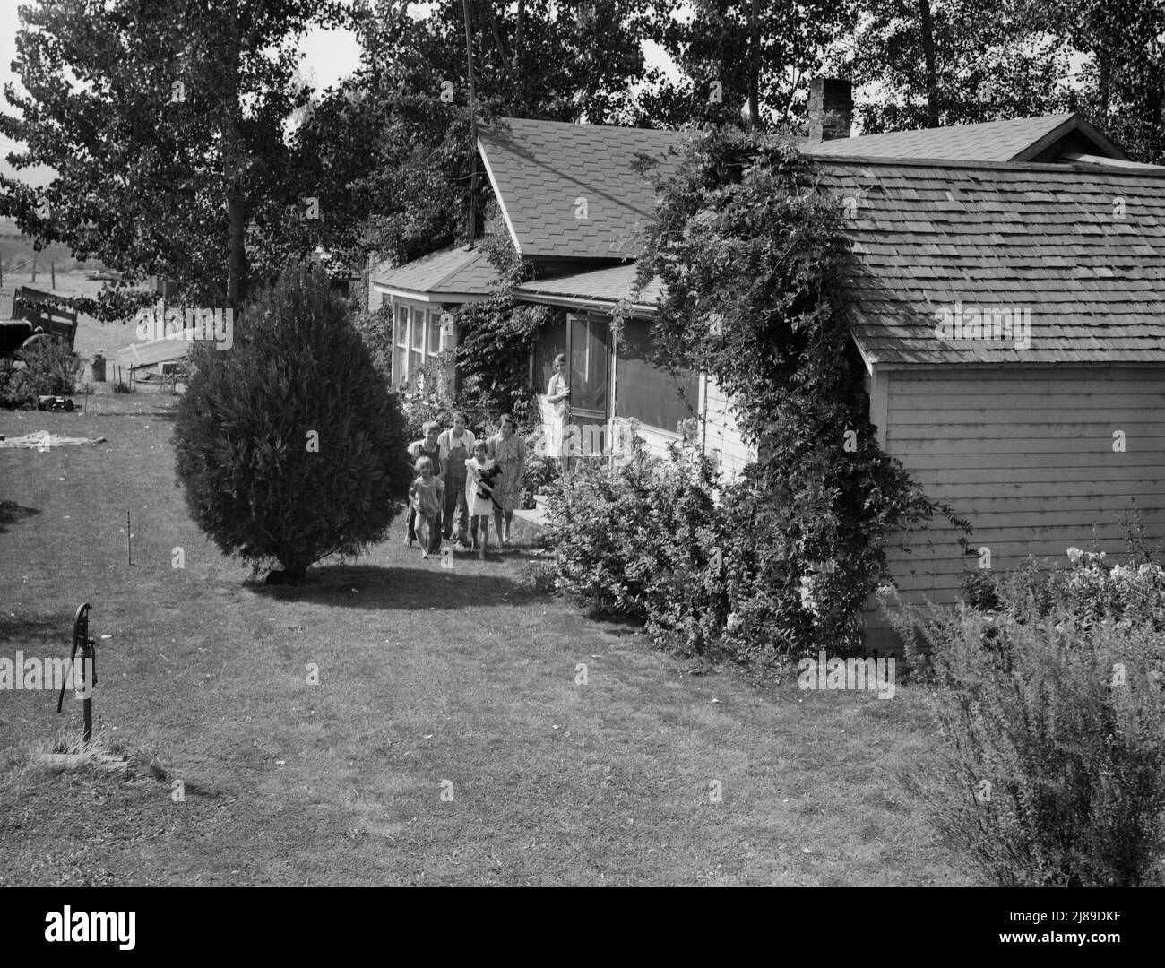 [Untitled, possibly related to: Washington, Yakima Valley, near Wapato. One tenant purchase program (Farm Security Administration) client, Jacob N. Schrock. This family with eight children had lived for twenty-five years on a rocky, rented farm in this valley. They now own forty eight acres of good land, this good house, price six thousand seventy hundred and seventy dollars. They raise hay, grain, dairy and hogs. Mrs. Schrock says &quot;Quite a lot of difference between that old rock pile, and around here.&quot;]. Stock Photo