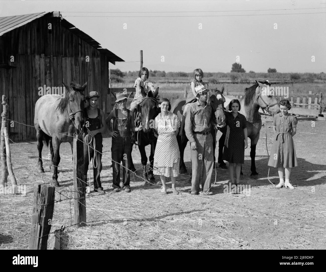 Washington, Yakima Valley, near Wapato. Rural Rehabilitation (Farm Security Administration). Chris Adolf, his wife, six of their eight children and his teams. Stock Photo