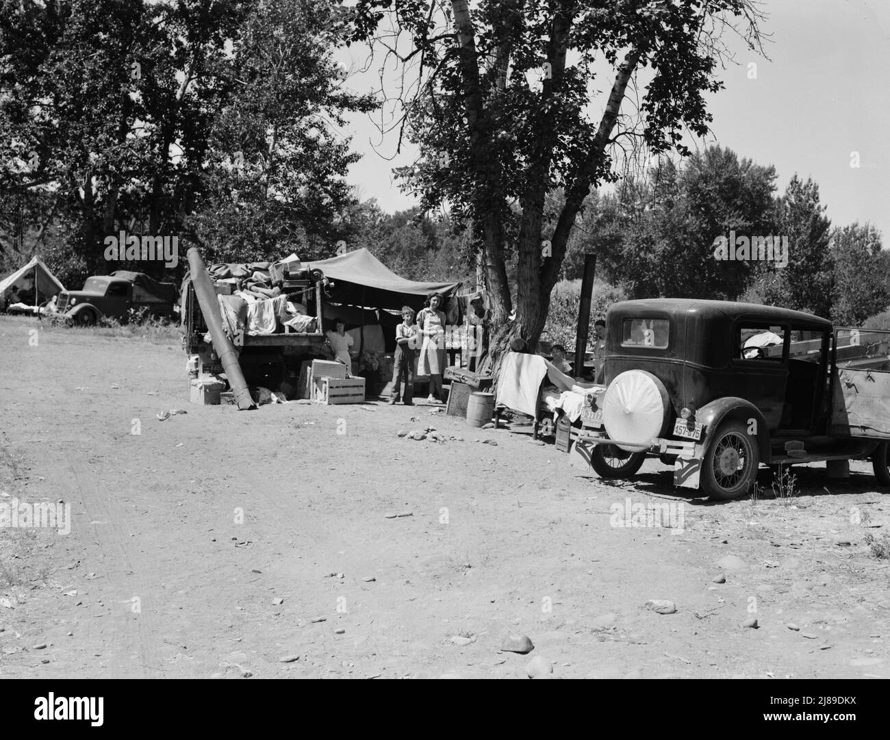 Washington, Yakima Valley. Camp of migratory families in &quot;Ramblers Park.&quot;. Stock Photo