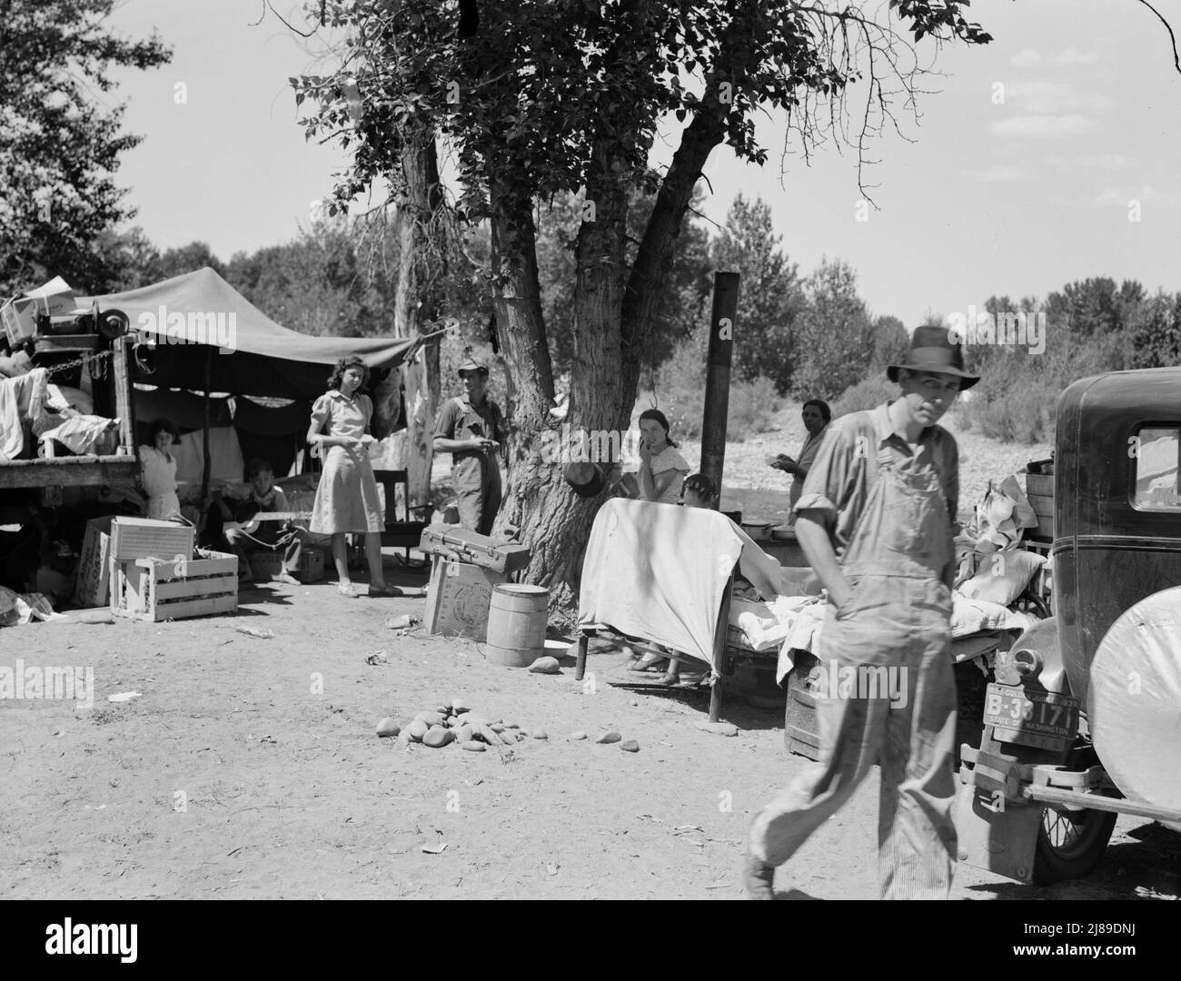 Washington, Yakima Valley. Camp of migratory families in &quot;Ramblers Park.&quot;. Stock Photo