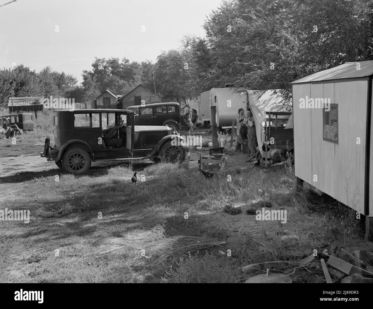 Washington, Yakima Valley, Toppenish. Cheap auto camp for migratory workers waiting for the opening of the hop season. Old fruit tramp (20378-C) lives in this camp. Stock Photo