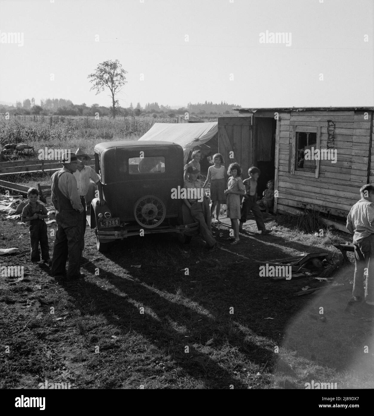 [Untitled, possibly related to: Oregon, Marion County, near West Stayton. Bean pickers' children in camp at end of day]. Stock Photo