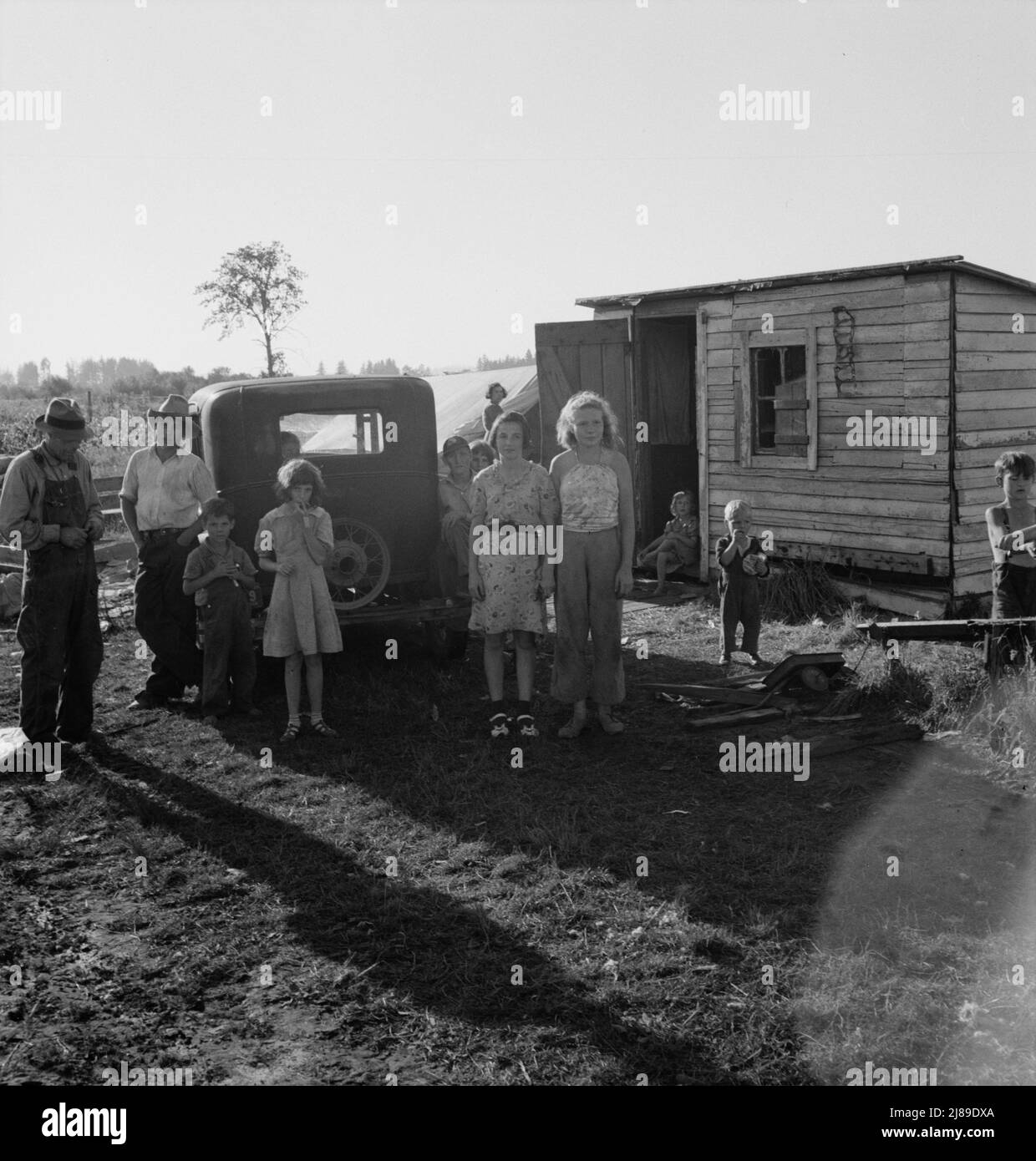 [Untitled, possibly related to: Oregon, Marion County, near West Stayton. Bean pickers' children in camp at end of day]. Stock Photo