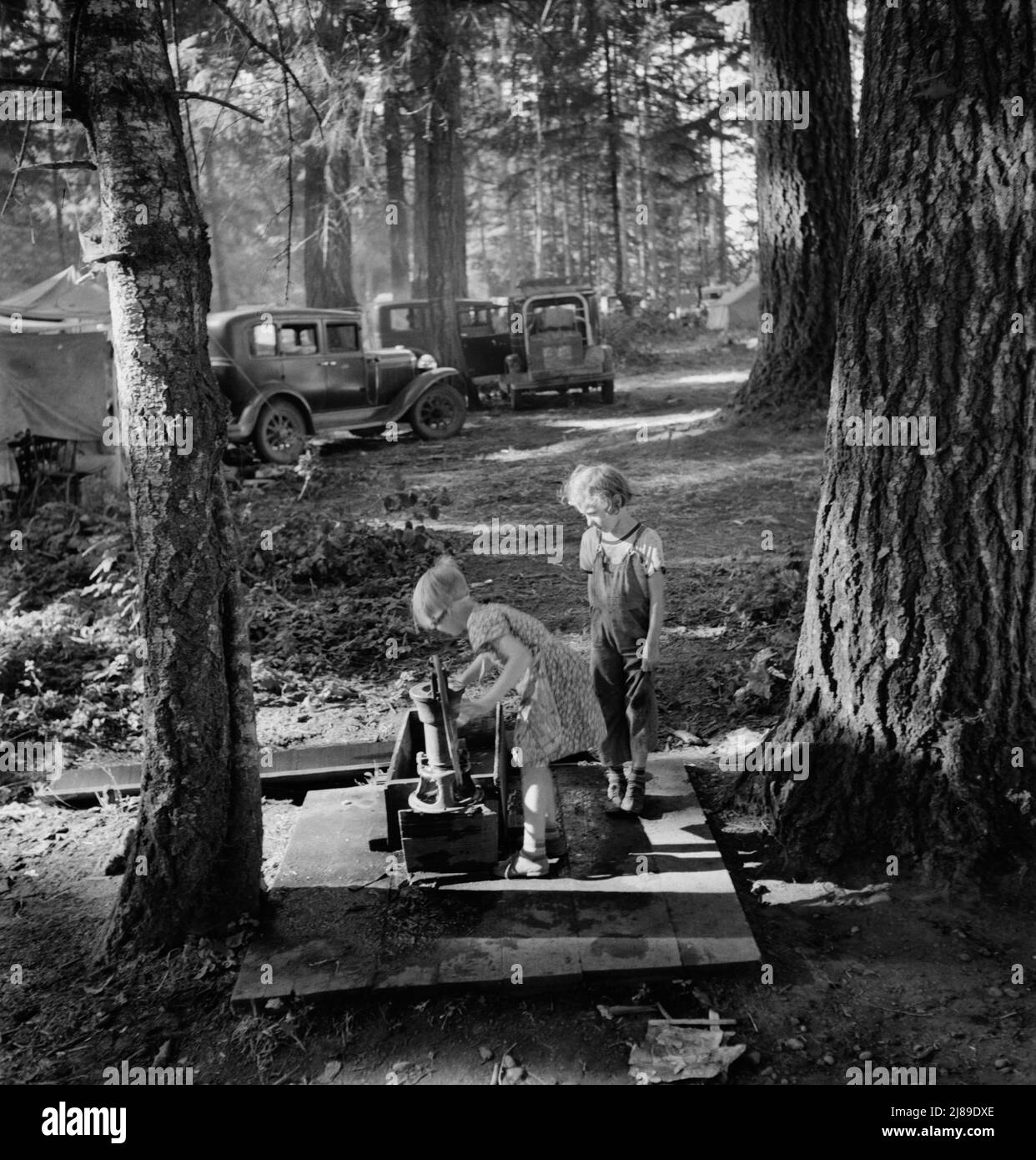 Oregon, Marion County, near West Stayton. Children in large private bean pickers camp. Pickers came from many states, from Oklahoma to North Dakota. Stock Photo