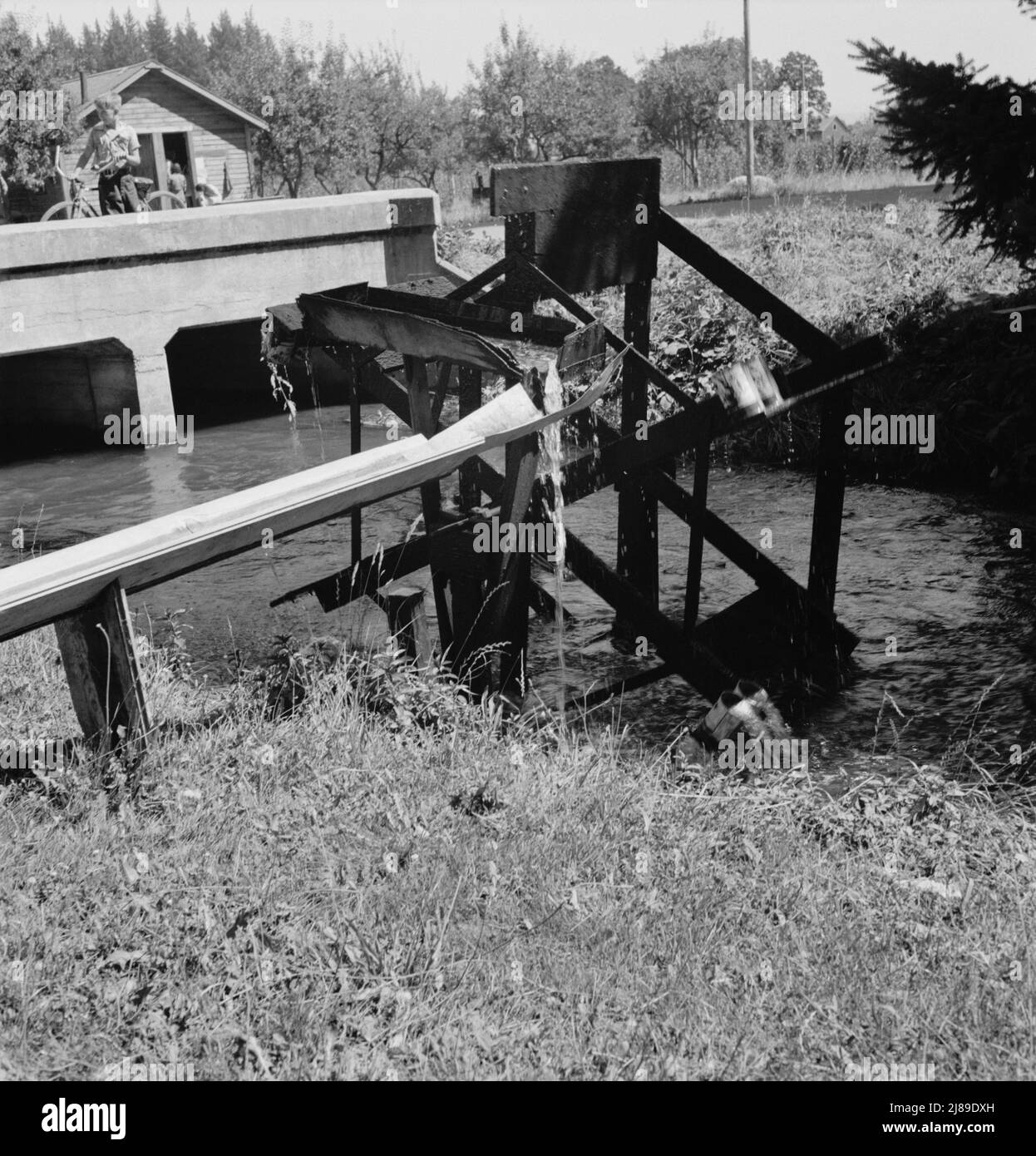 [Untitled, possibly related to: Oregon, Marion County, north of West Stayton. Waterwheel for field irrigation in the bean country]. Stock Photo