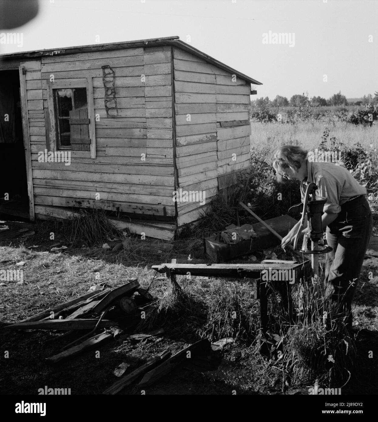 [Untitled, possibly related to: Oregon, Marion County, near West Stayton. Bean pickers' children in camp at end of day]. Stock Photo