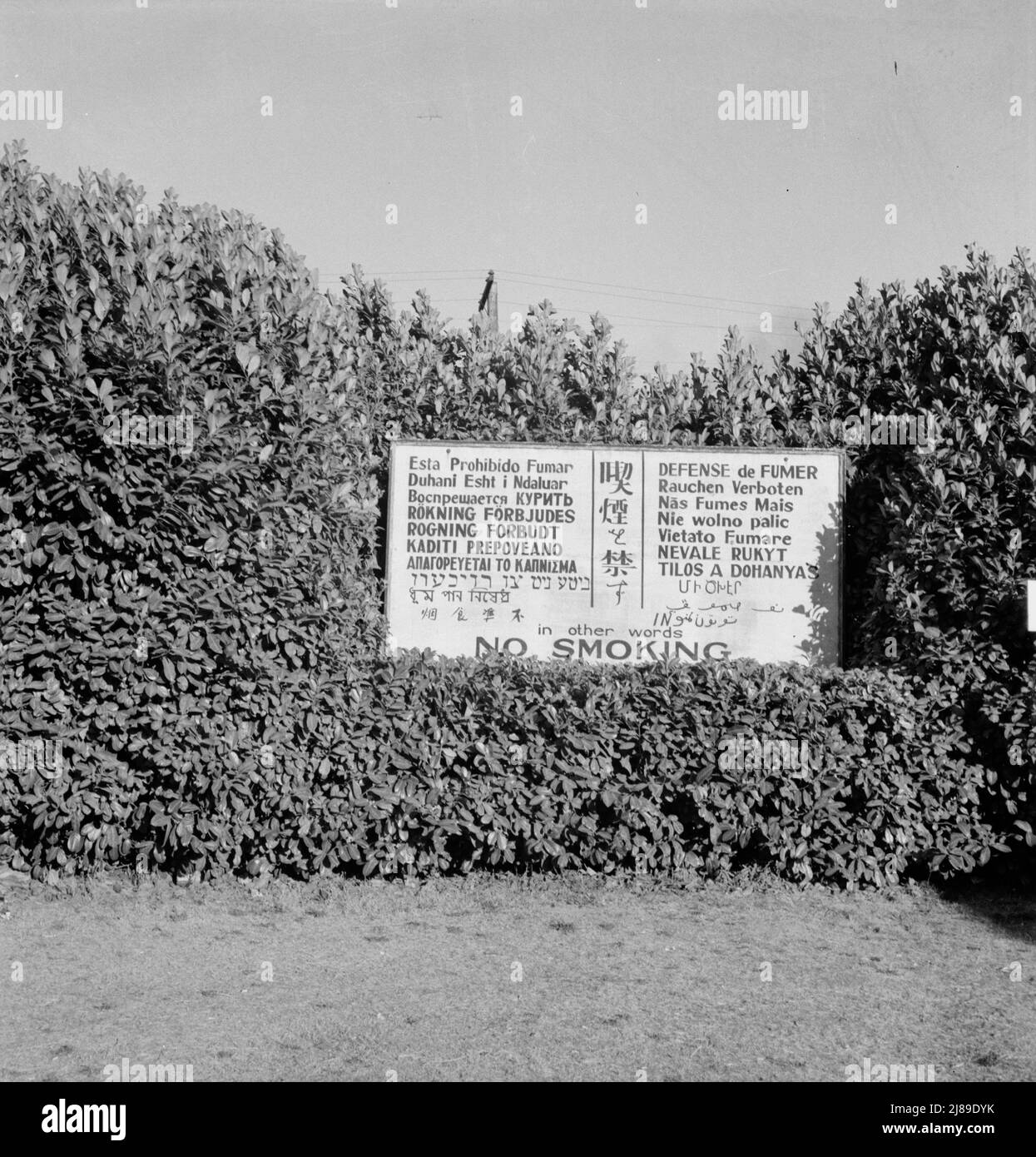 Washington Longview Sign Outside Entrance Of Largest Lumber Mill In 
