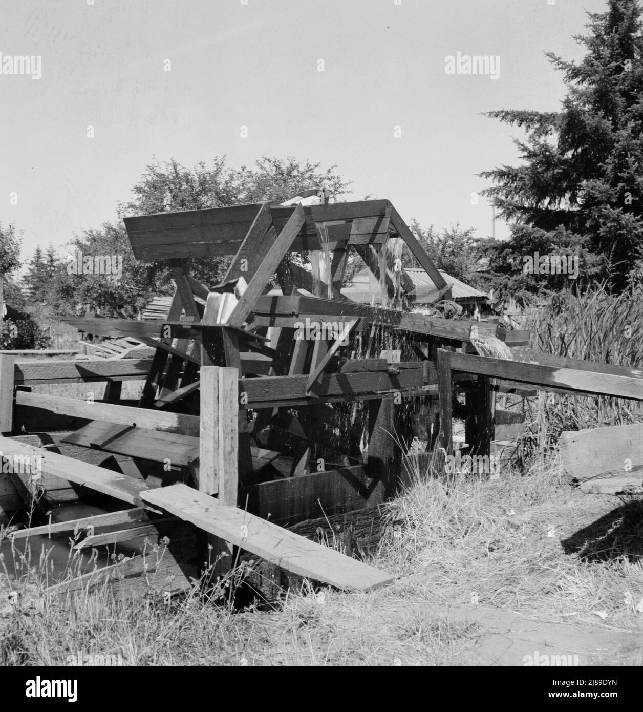 Oregon, Marion County, north of West Stayton. Waterwheel for field irrigation in the bean country. Stock Photo