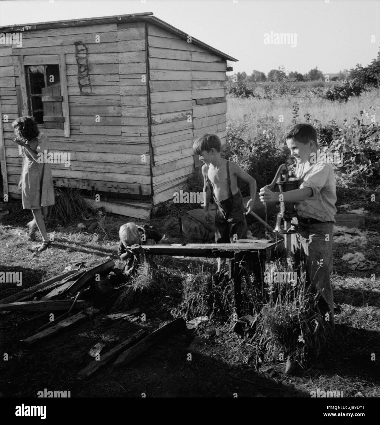 [Untitled, possibly related to: Oregon, Marion County, near West Stayton. Bean pickers' children in camp at end of day]. Stock Photo