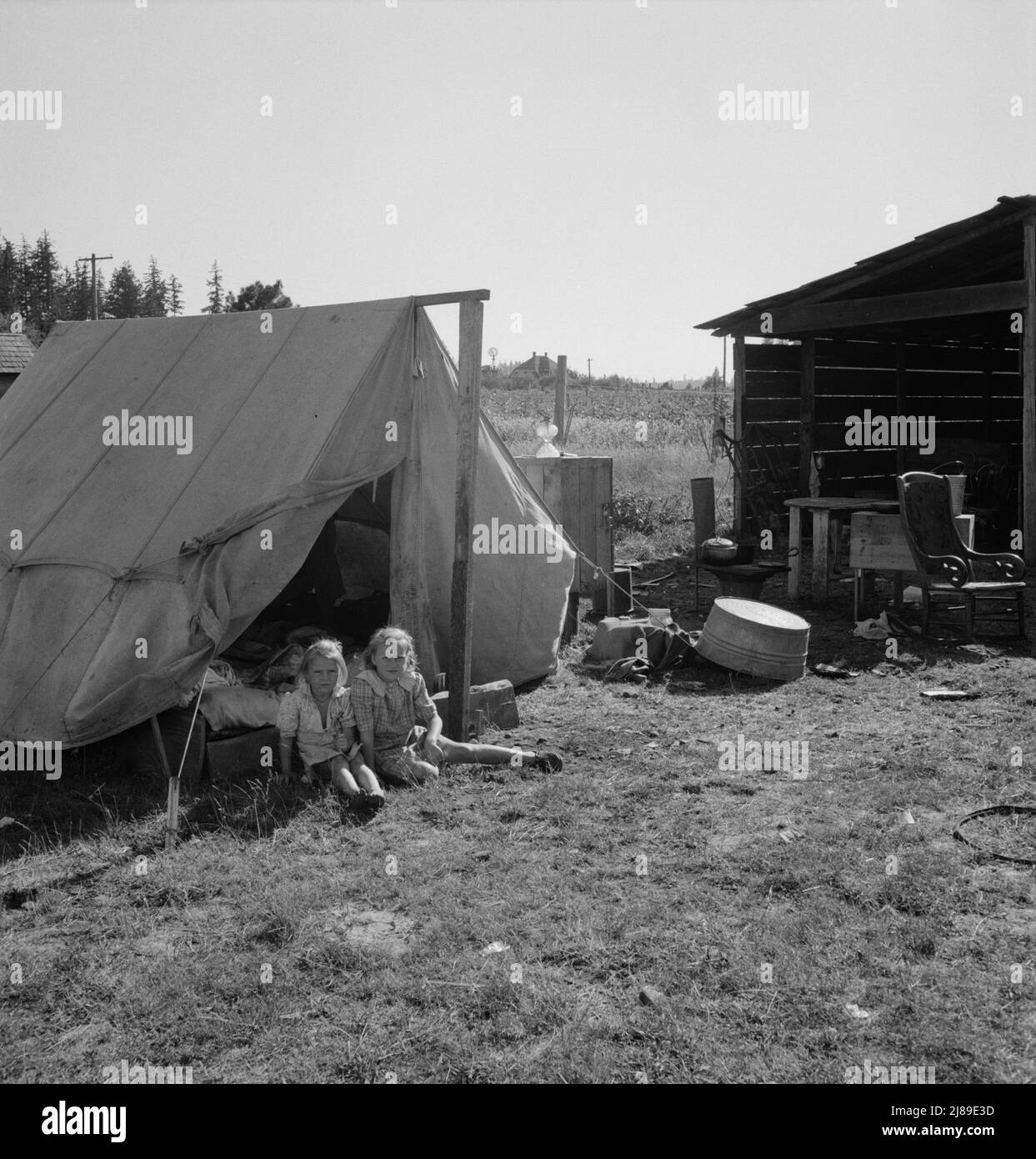 [Untitled, possibly related to: Bean pickers' camp in grower's yard. No running water. Marion County, near West Stayton, Oregon. Stock Photo