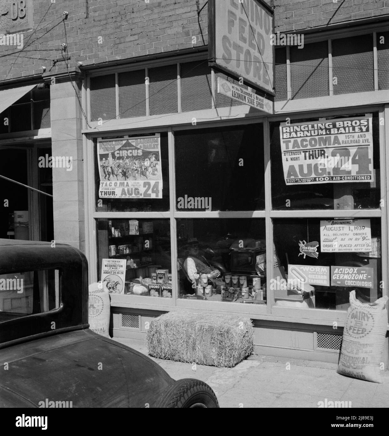 Western Washington, Thurston County, Tenino. Feed store opposite bank. Stock Photo