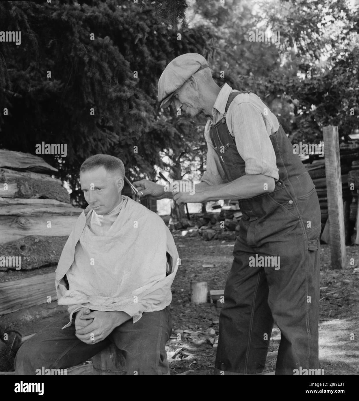 Oregon, Marion County, near West Stayton. Bean pickers barber each other. Stock Photo