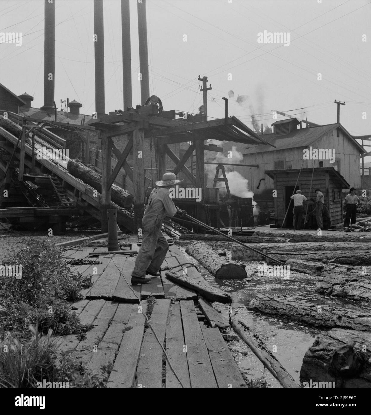Pond monkey guides course of logs from the mill pond to the chute