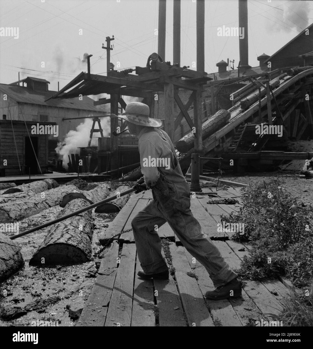 Pond monkey guides course of logs from the mill pond to the chute