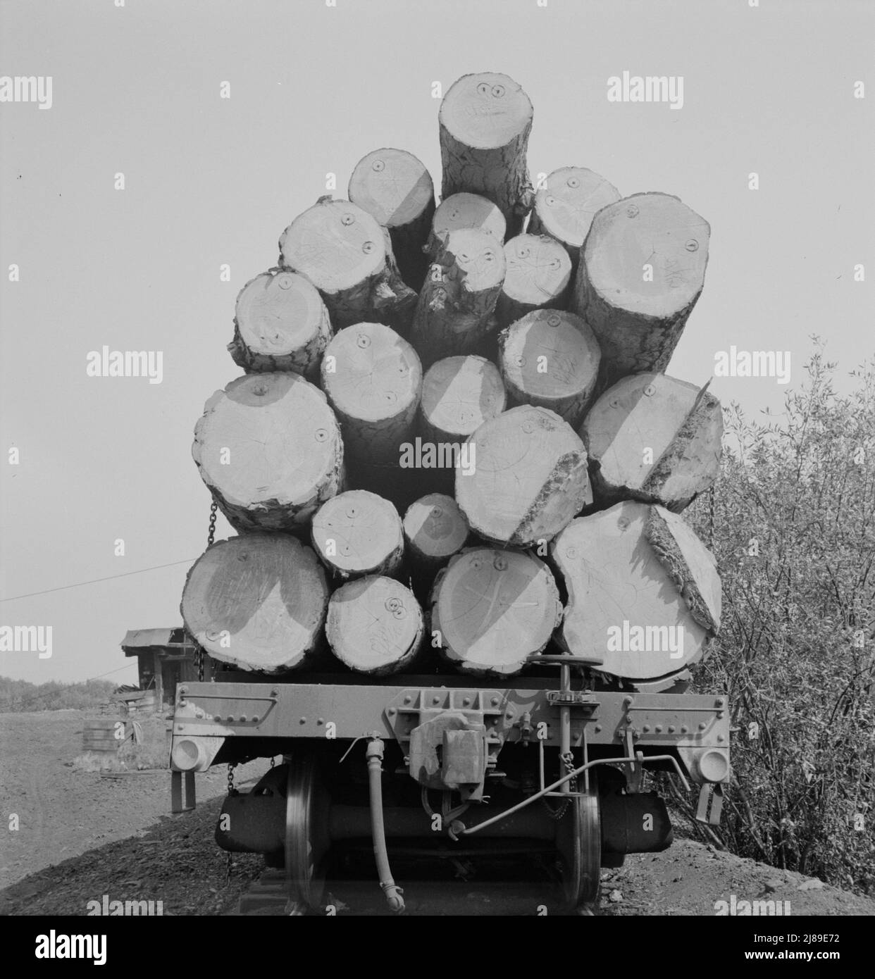 [Untitled, possibly related to Oregon, Klamath County, near Klamath