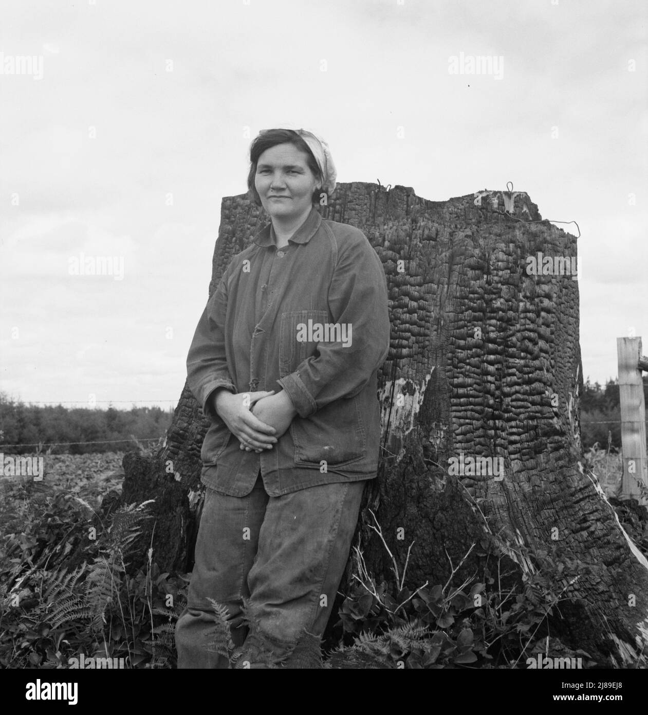 Mrs Arnold, age thirty two, does man's work on the rough and stumpy land to build a farm. Western Washington, Thurston County, Michigan Hill. See general caption number 36. Stock Photo