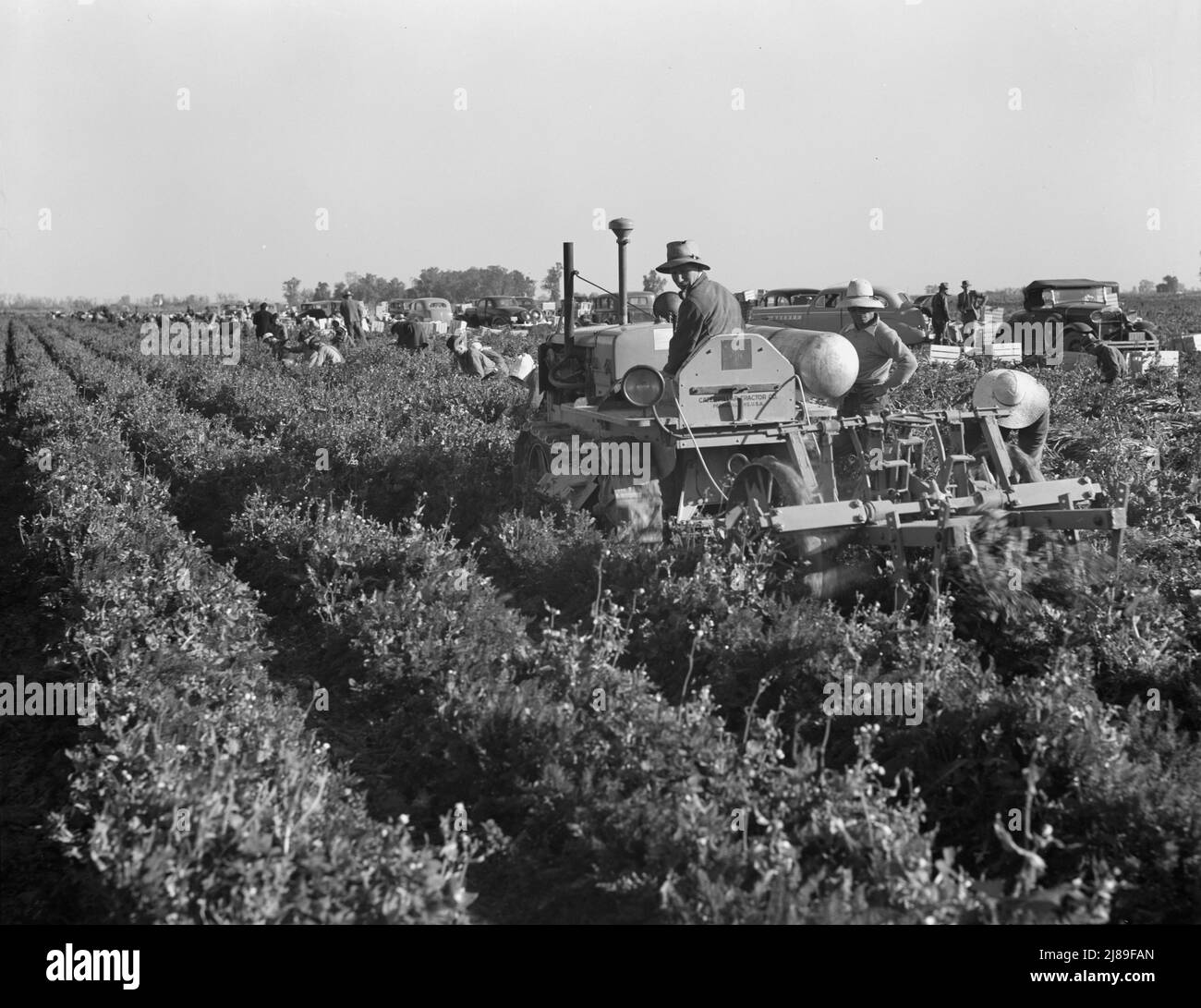 Imperial valley farm Black and White Stock Photos & Images Alamy