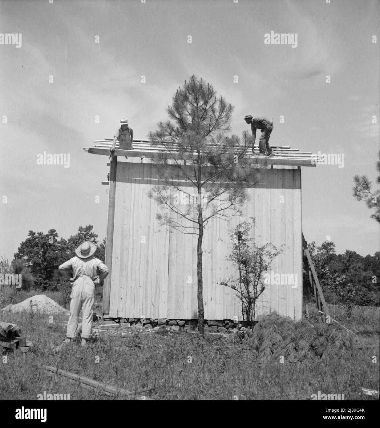 Building plank tobacco barn to replace old log one. Building takes approximately one week, this barn can be built for one hundred dollars. The average life of a barn is fifteen to twenty years. Near Chapel Hill, North Carolina. Stock Photo