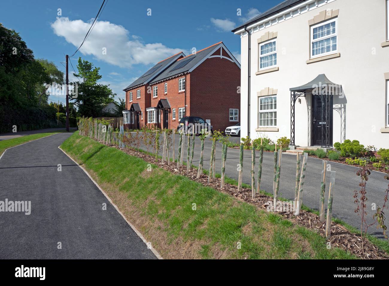 New Housing, Devon, UK Stock Photo