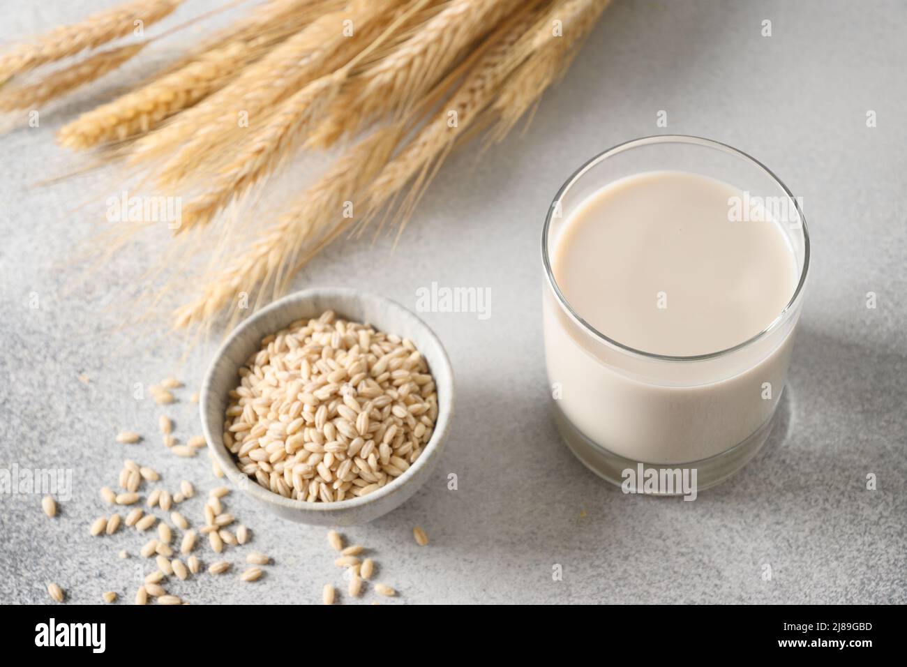 Vegan Barley milk in glass and barley groats on gray background. Close