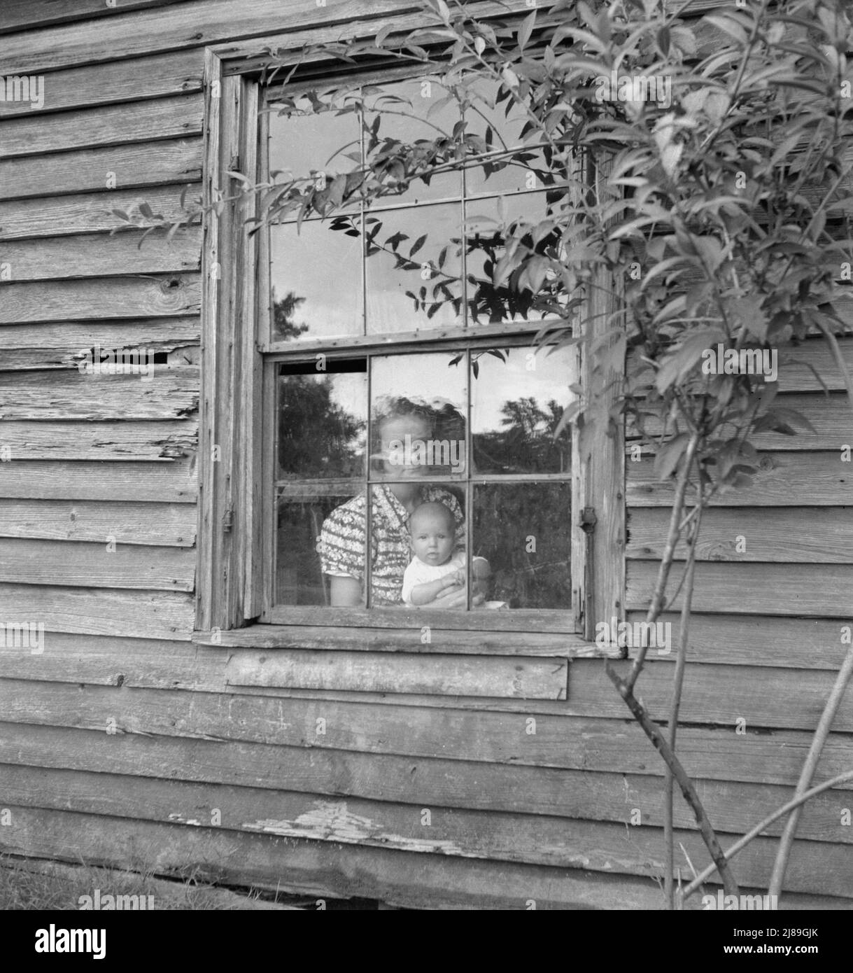 Wife and five month old baby of young tobacco sharecropper (Mr. Taylor) in window of their home. She is seventeen years old. On the following day she helped &quot;put in&quot; tobacco at the farm. Granville County, North Carolina. Stock Photo
