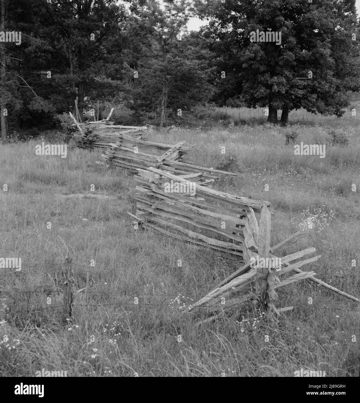 Rail fence with poor barbed wire fence in foreground. Note telephone line. Person County, North Carolina. Stock Photo