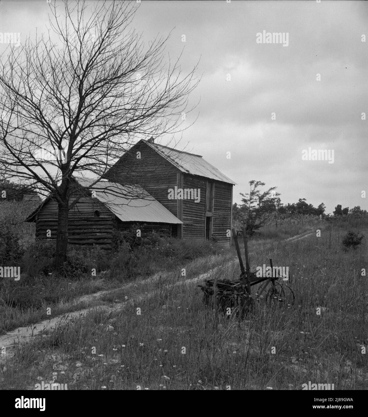 Hillside Farm road leading from sharecropper's house back to the public