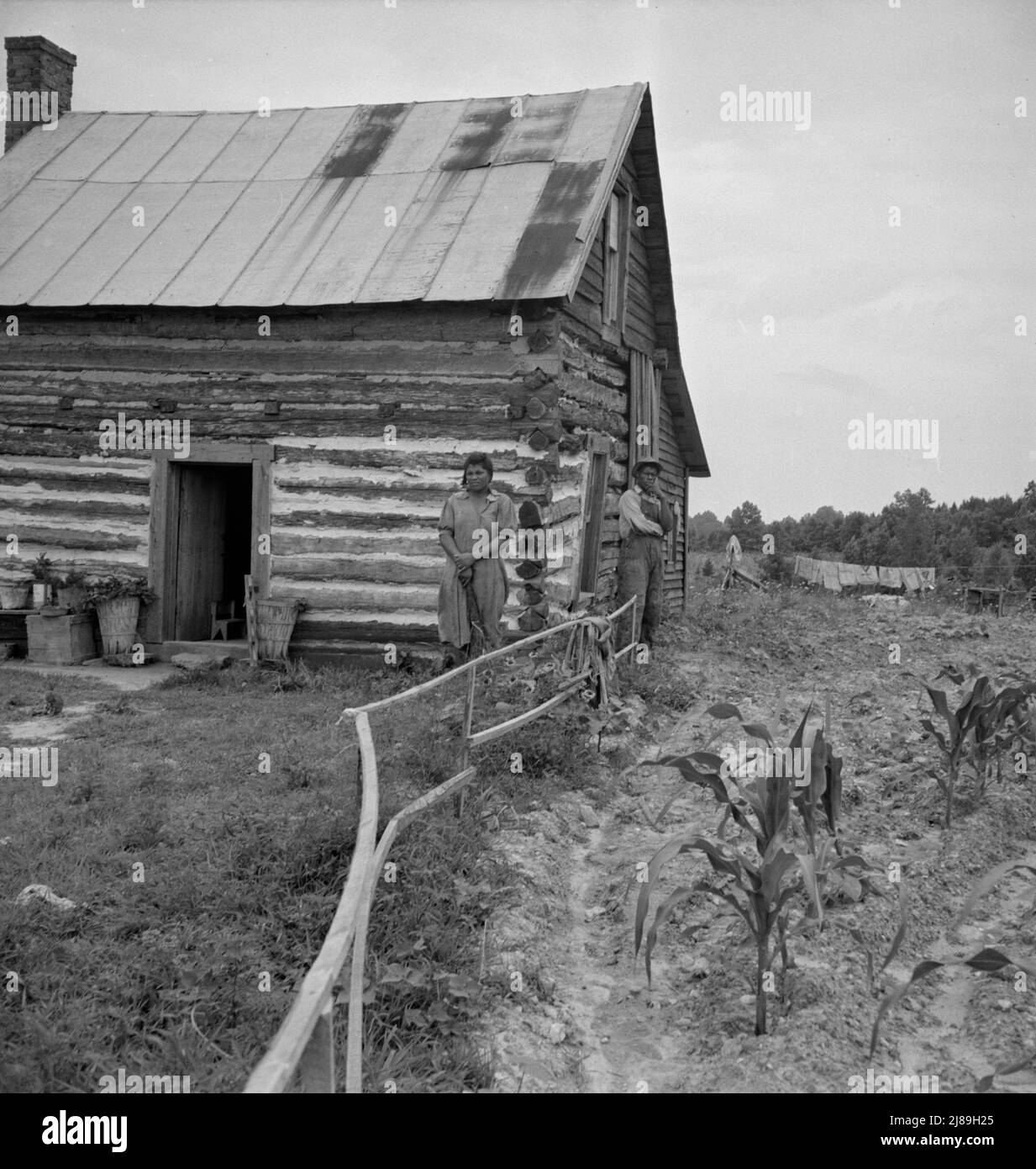 Home of tenant, Hillside Farm. Note lathe fence to protect flowers in yard. They have no privy and haul water. Sacks hanging on line are used to haul tobacco to market. Person County, North Carolina. Stock Photo