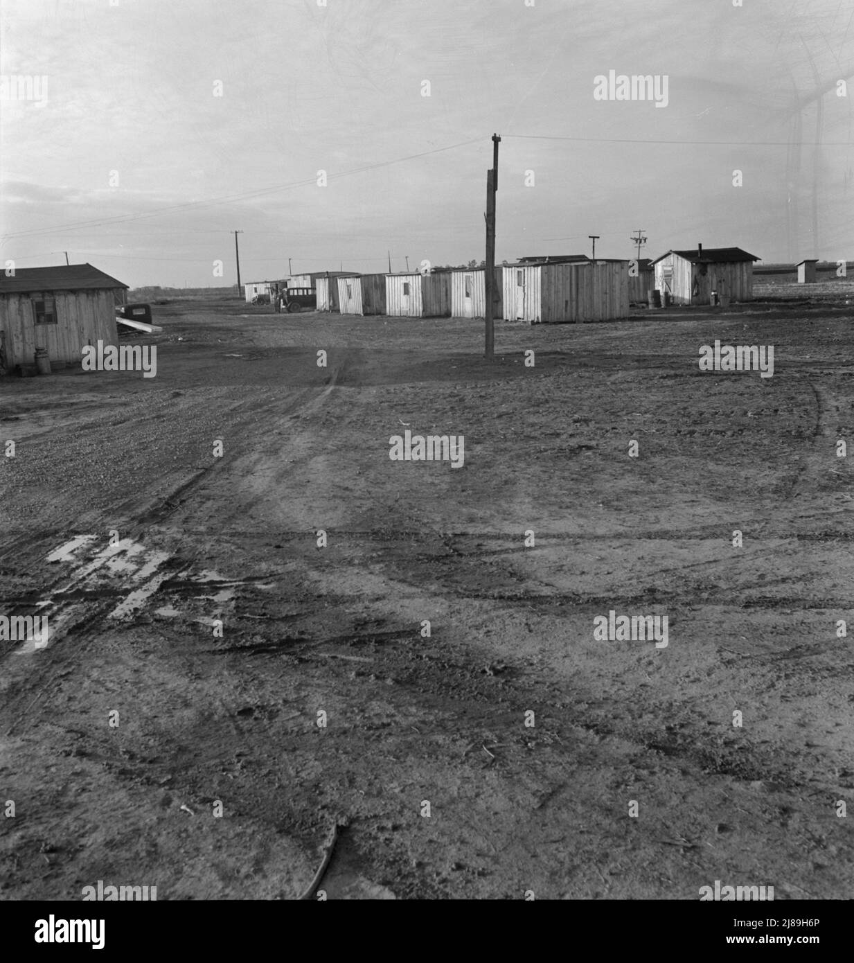 Newlybuilt cabins, rent five dollars per month. California. Near