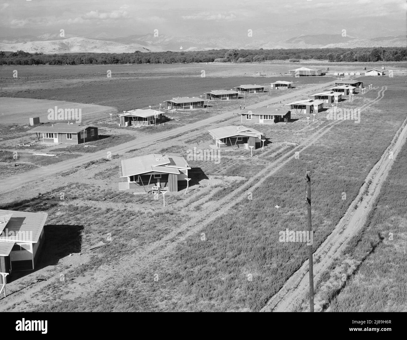 Tulare County, California. New homes for families on the Mineral King cooperative farms. This farm is situated on the site of an old ranch. Employs eighteen families; comprises 500 acres of alfalfa and cotton lands. Large-scale farming methods. Stock Photo