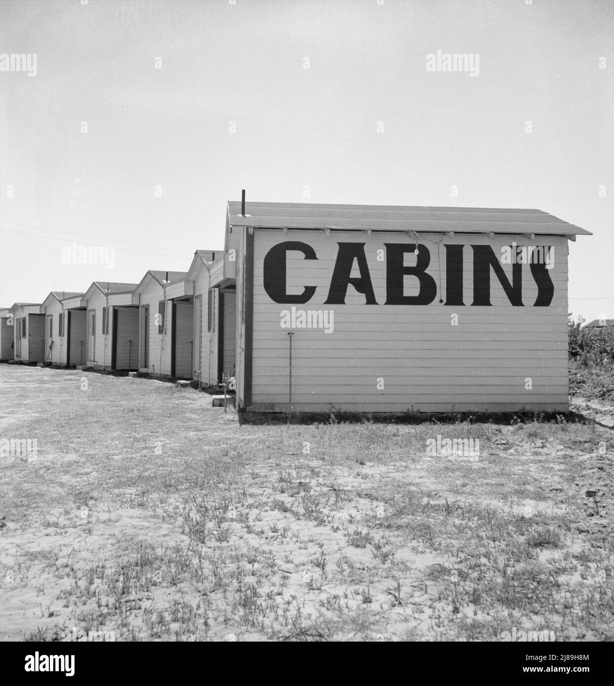 Between Tulare and Fresno, On U.S. 99. Many auto camps of this kind are strewn along the highway. [Accommodation for migrant farm workers]. Stock Photo