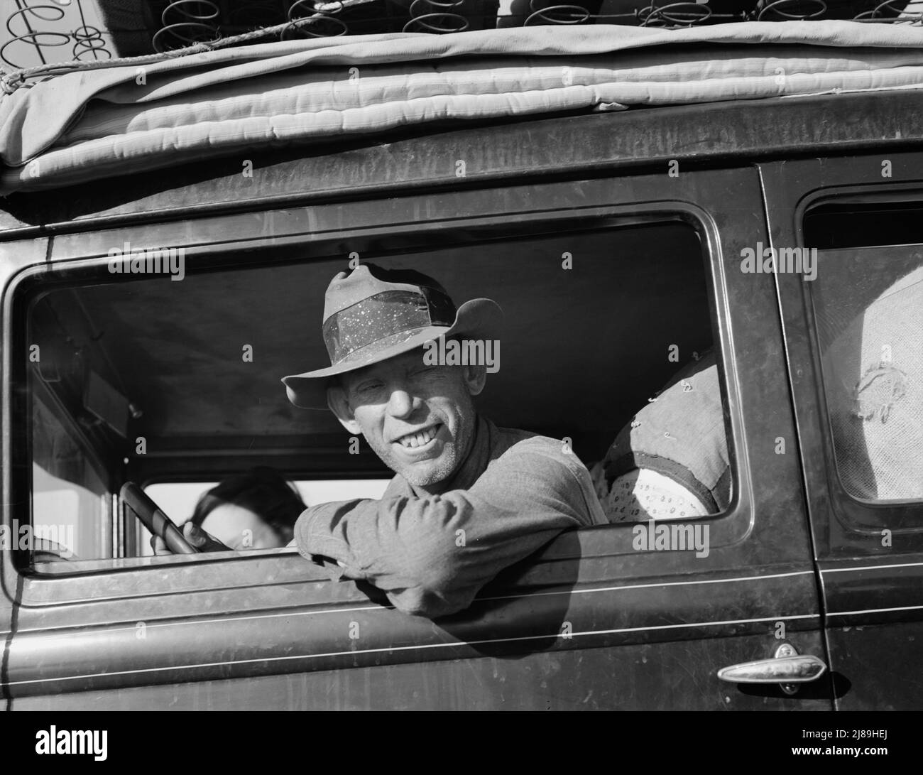 Cotton in the u s hires stock photography and images Alamy