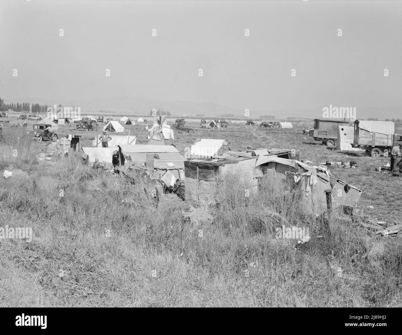 Potato pickers' camp. Tulelake, Siskiyou County, California. Stock Photo