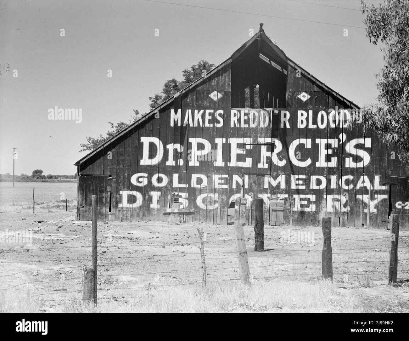 Between Tulare and Fresno, California. Dairy barn. [Painted