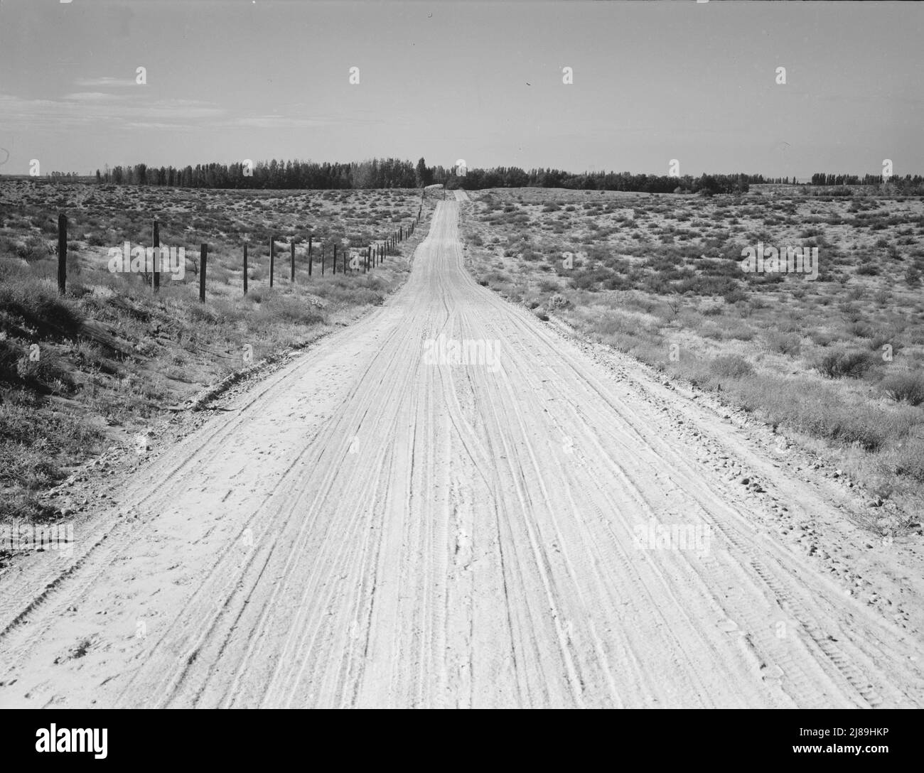 Road leading to small farm in northern Oregon. Irrigon, Morrow County, Oregon. Stock Photo