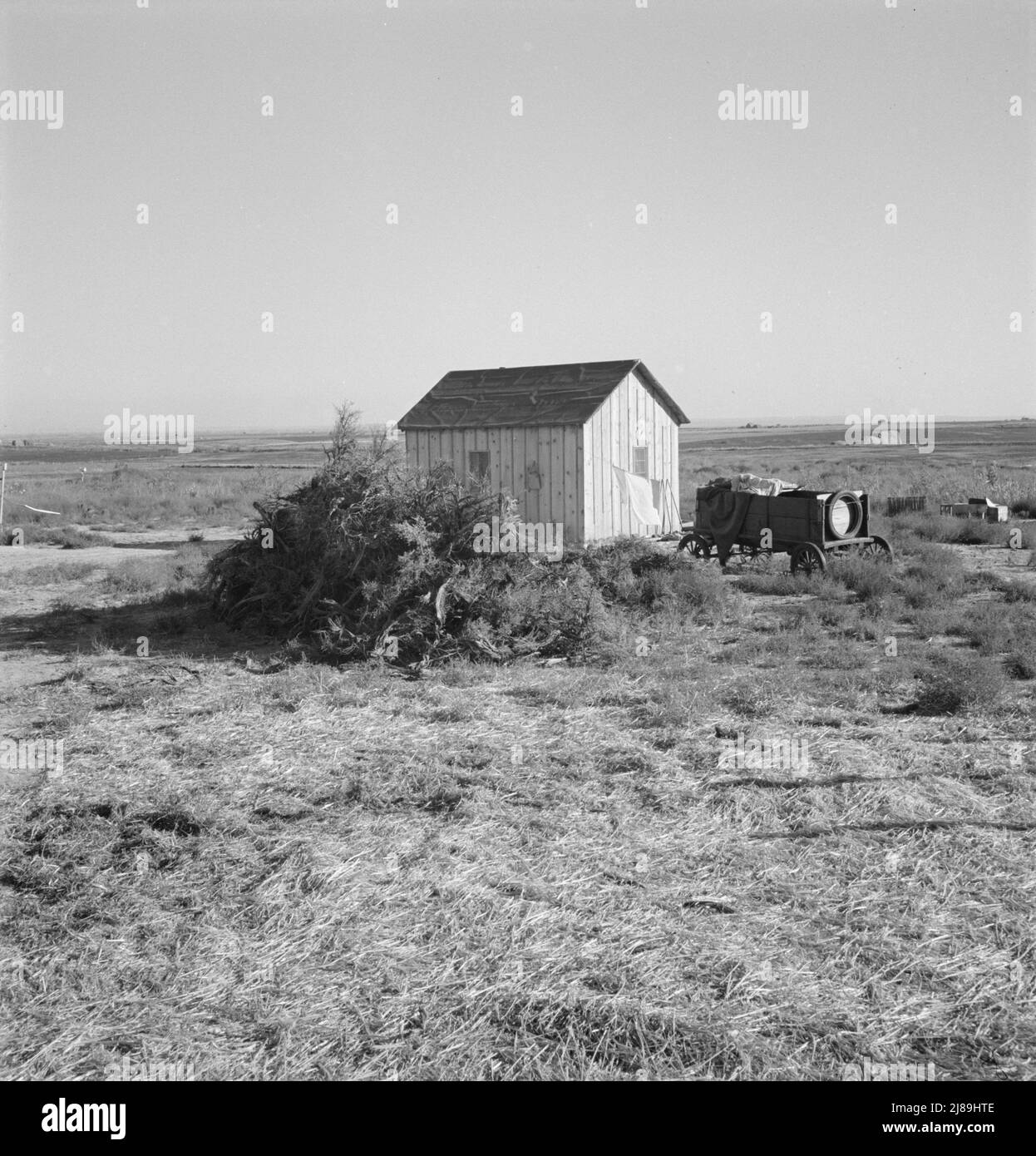 The preacher's house. Dead Ox Flat, Malheur County, Oregon Stock Photo