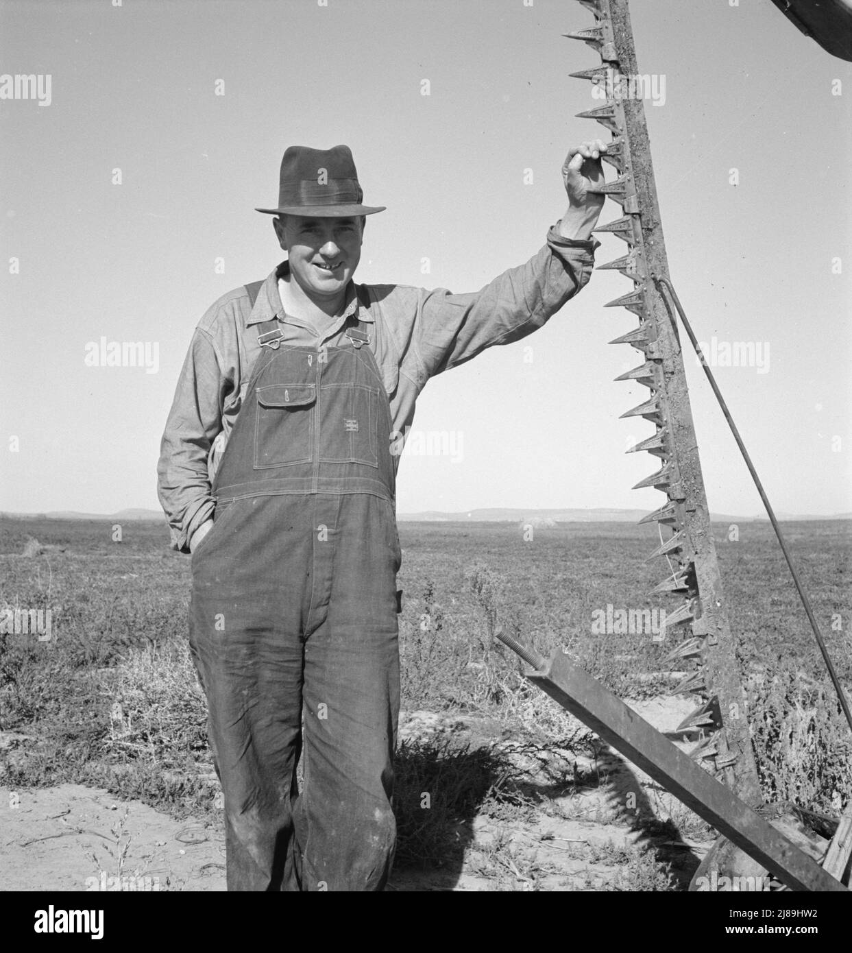 Dead ox flats hires stock photography and images Alamy