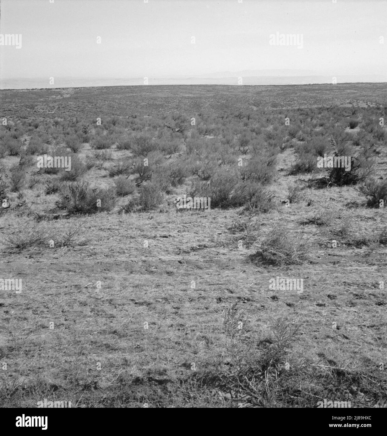 View from the Smith's place across the road, showing uncleared land